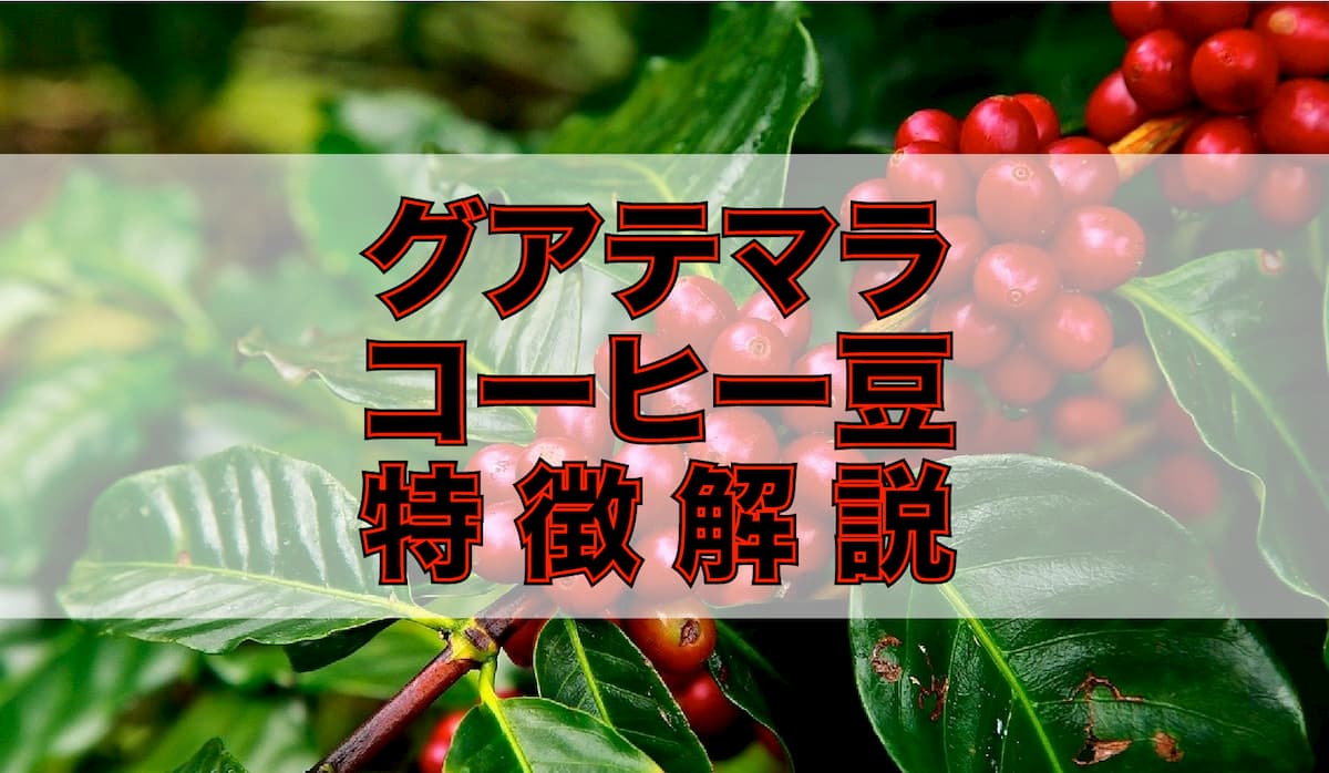 【コーヒー豆解説】グアテマラ（ガテマラ）産の特徴と7大産地　アイキャッチ