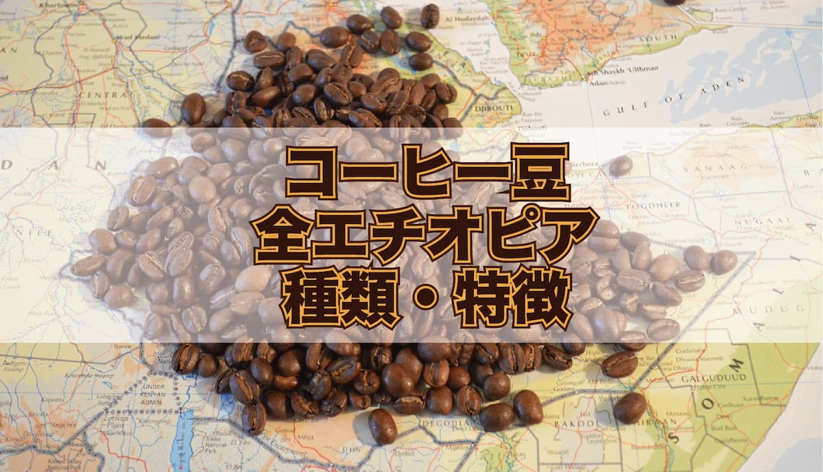 【コーヒー豆】全エチオピアの種類・特徴を解説