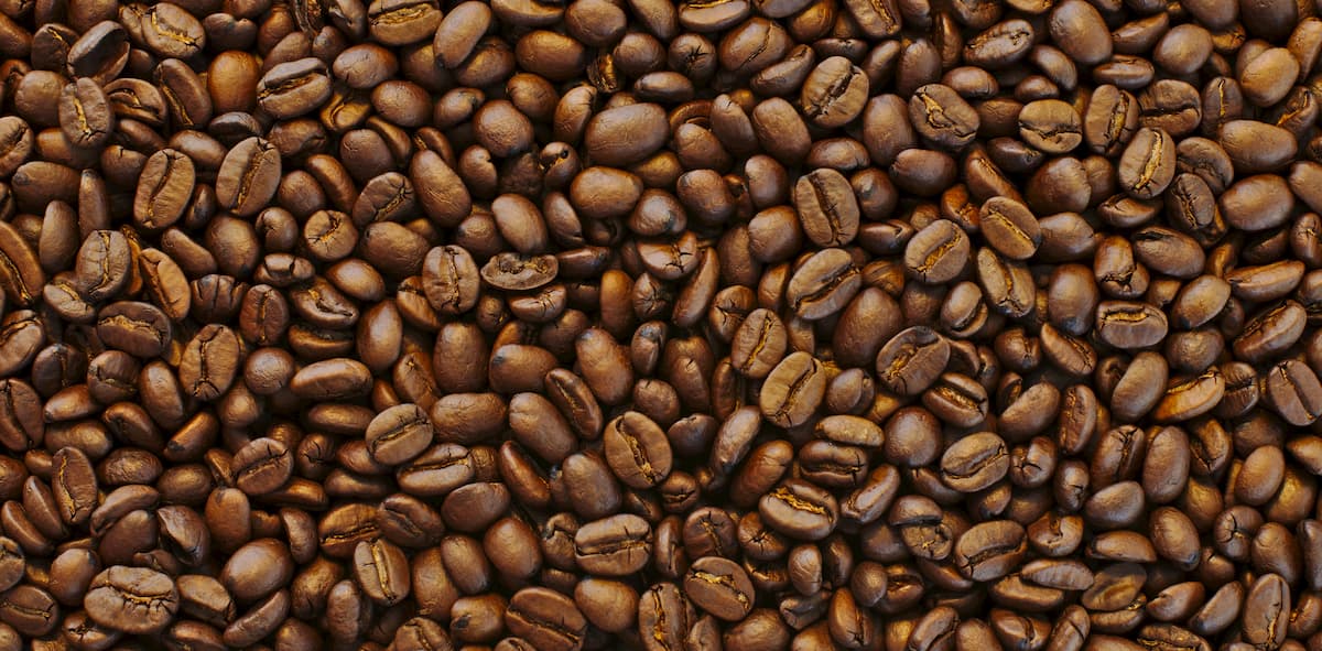 抽出器具別　コーヒー豆粒度について