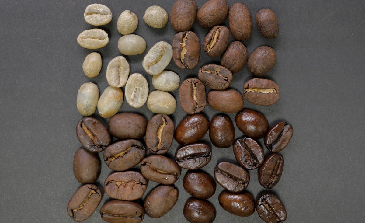 まとめ コーヒー生豆どこで買う?【おすすめネット通販4選】