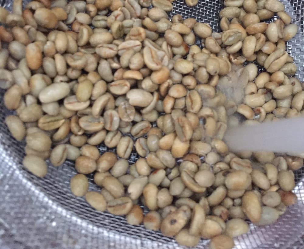 コーヒー生豆は水洗いするべきか？