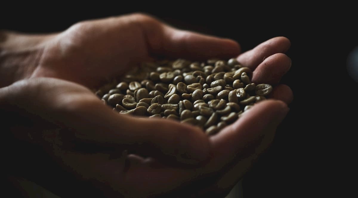 【コーヒー生豆の仕入れ】サンプルについて