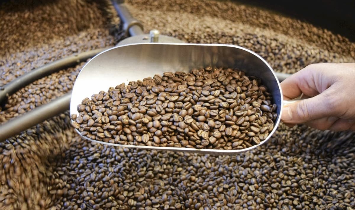 コーヒー豆の飲み頃と保存方法