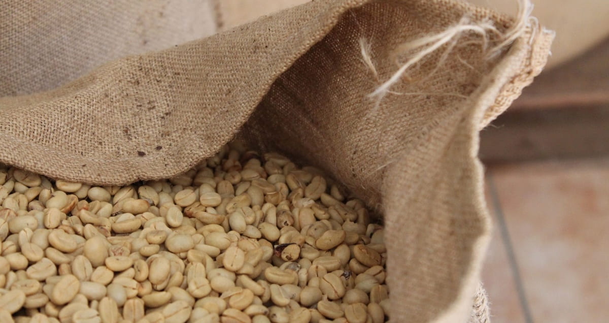 コーヒー生豆商社との取引のやり方