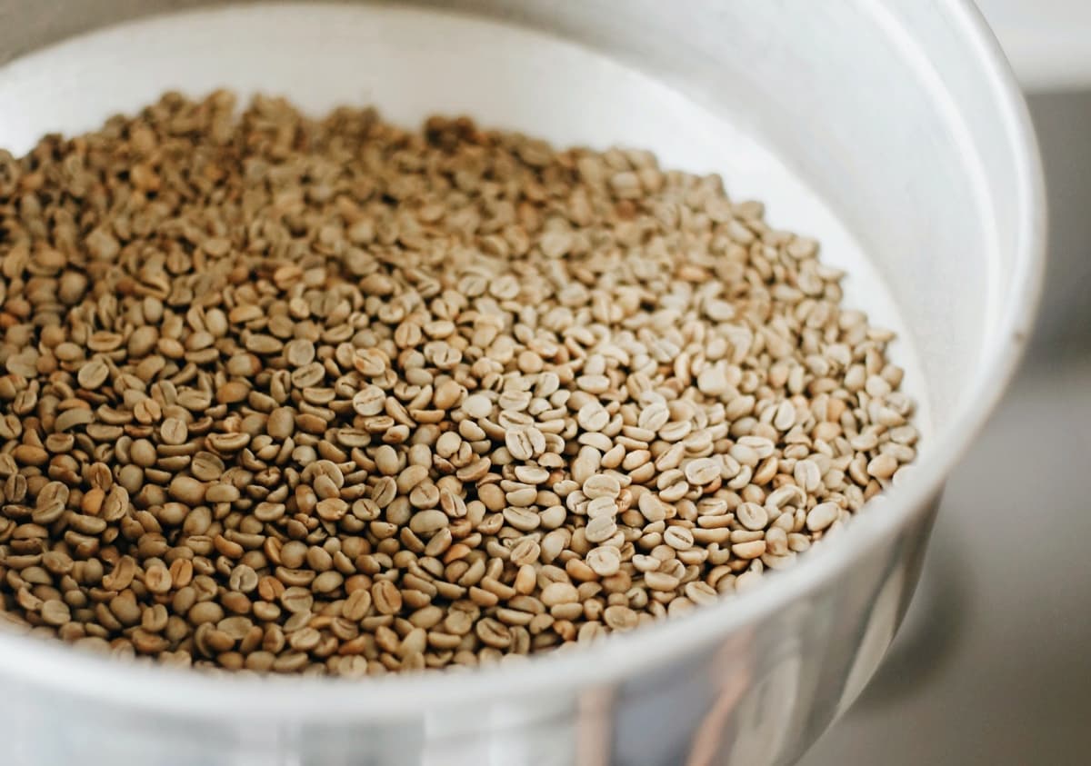 コーヒー生豆の保存方法